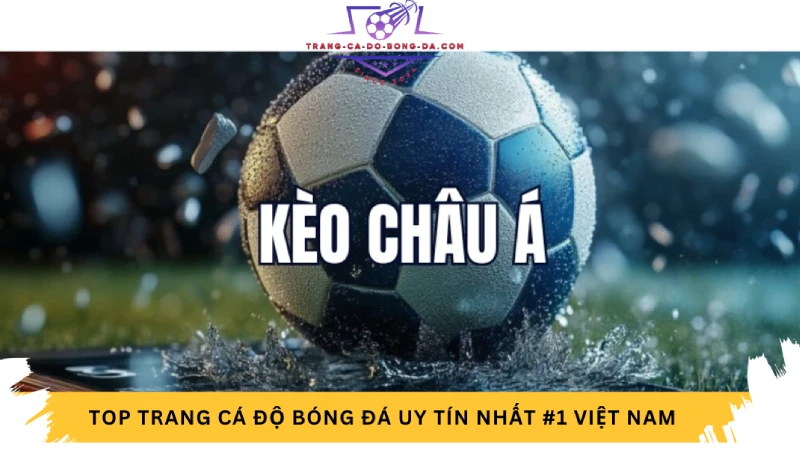 Kèo châu Á là gì? Top 10 loại kèo châu Á anh em cần biết