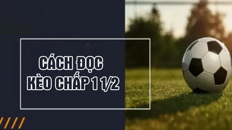 cách đọc kèo chấp 1.5