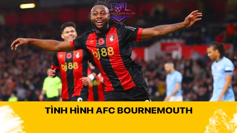 Tình hình AFC Bournemouth