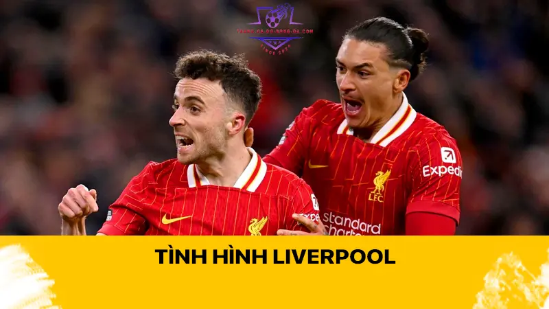 Tình hình Liverpool