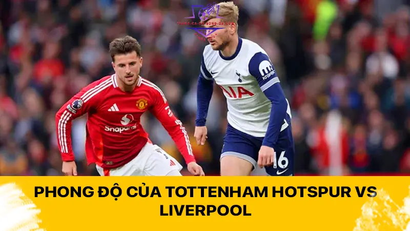 Phong độ của Tottenham Hotspur vs Liverpool