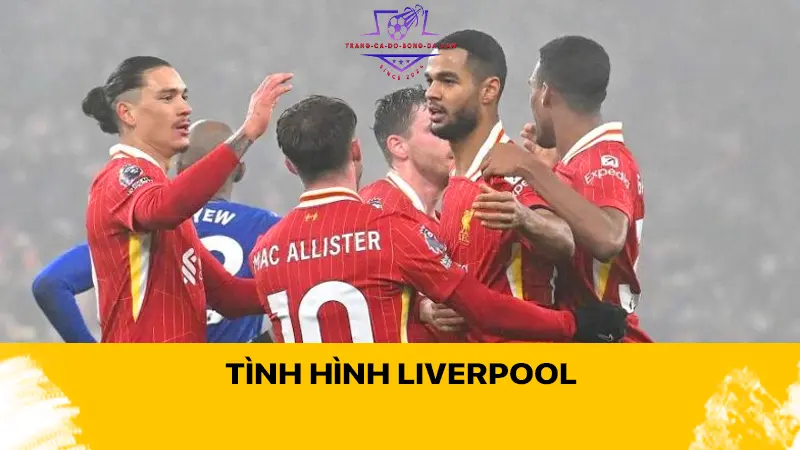 Tình hình Liverpool