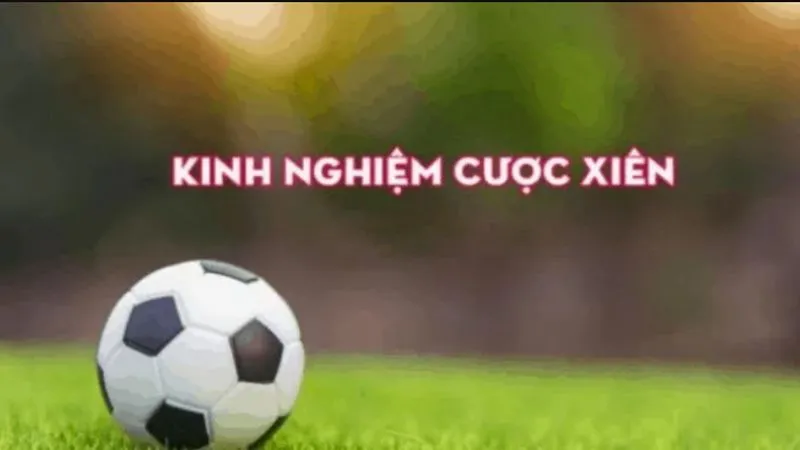 Kinh nghiệm cách chơi cược xiên hiệu quả