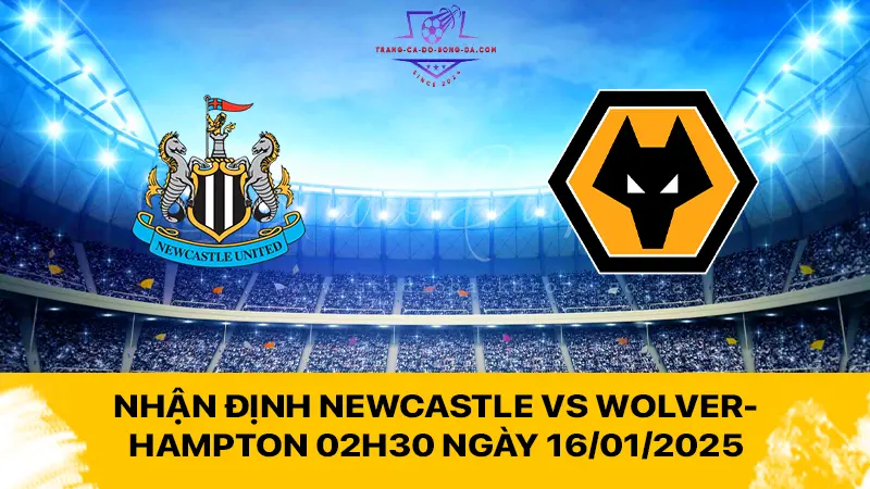 Nhận định Newcastle vs Wolverhampton 02h30 ngày 16/01/2025