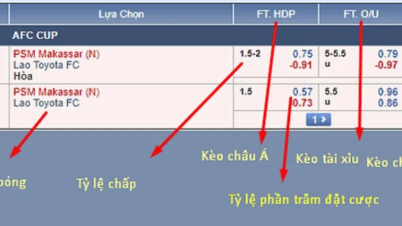 Phân tích sự khác biệt O/U là gì? 