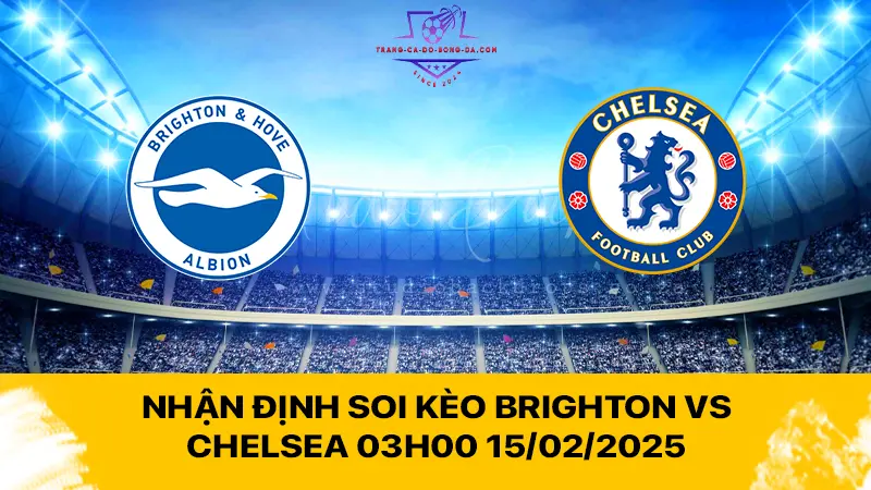 Nhận định soi kèo Brighton vs Chelsea 03h00 15/02/2025