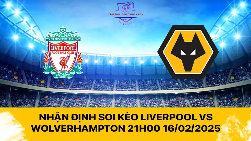 Nhận định soi kèo Liverpool vs Wolverhampton 21h00 16/02/2025